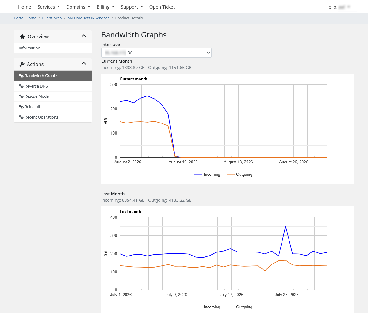 White-label customer bandwidth view showing traffic periods, incoming and outgoing usage, and service-level information.